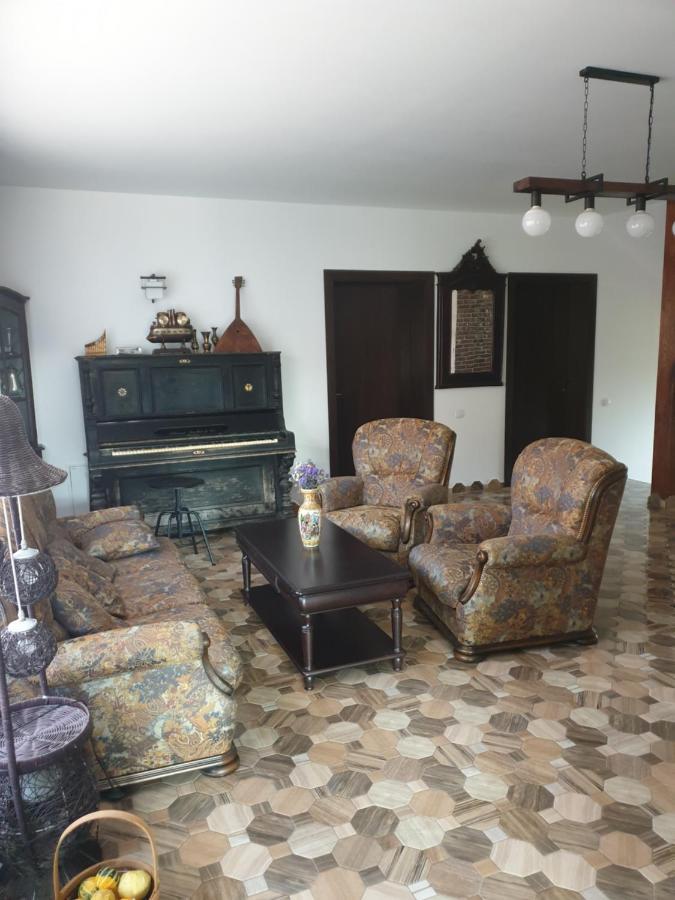Casa Danei Hotell Braşov Exteriör bild