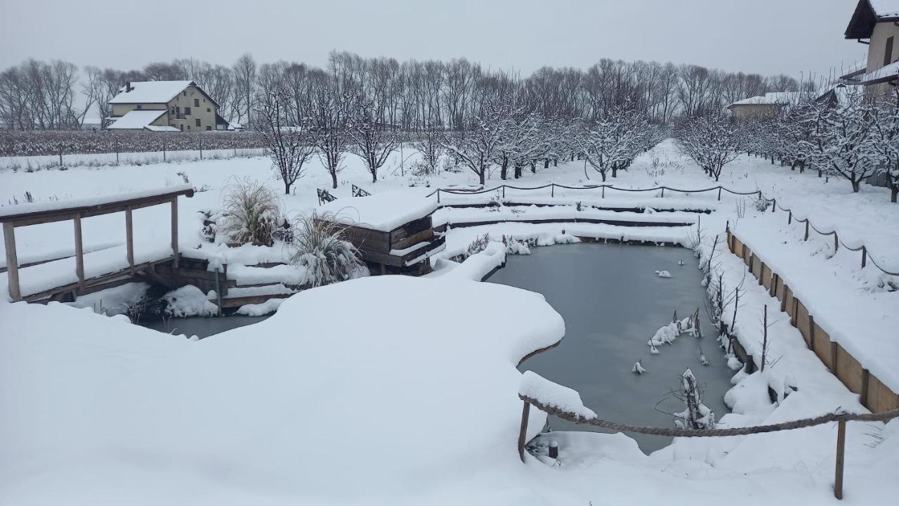Casa Danei Hotell Braşov Exteriör bild