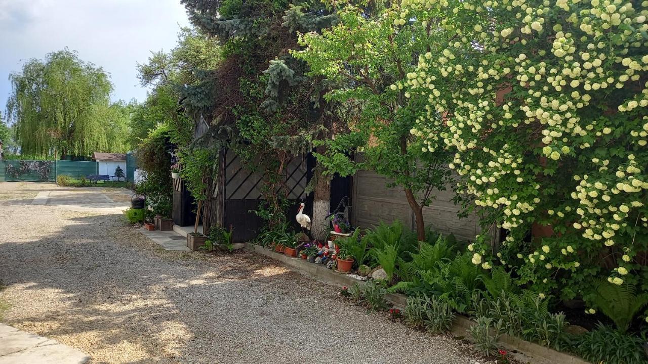 Casa Danei Hotell Braşov Exteriör bild