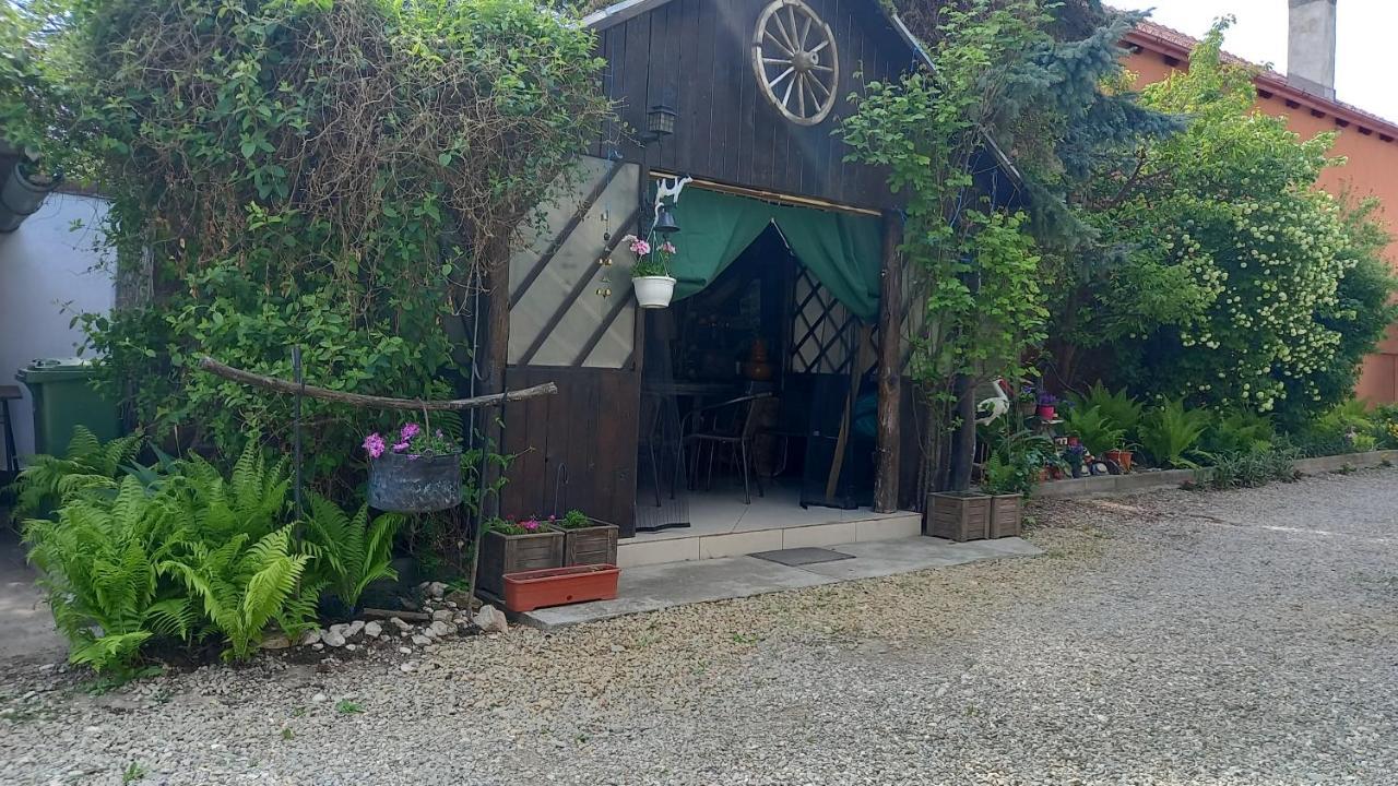 Casa Danei Hotell Braşov Exteriör bild